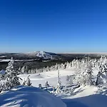& Pikku-syoete 3* Syöte