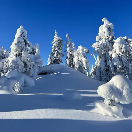 Hotel & Pikku-syoete Syöte