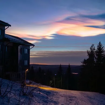 & Pikku-syoete Syöte