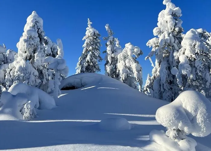 Hotel & Pikku-syoete Syöte