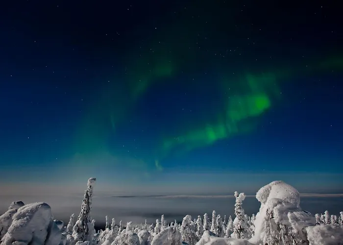 Hotel & Pikku-syoete